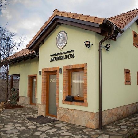 Vinarsky Penzion Andre Velké Pavlovice Buitenkant foto